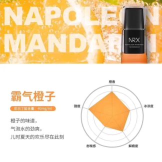 2019新款NRX3尼威三代Air正品電子煙菸彈水果味專用煙彈-霸氣橙子4入